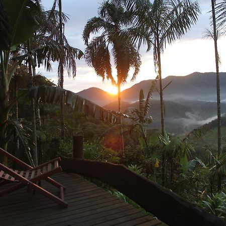 Eco Hostel Organic Life Trindade  Exterior photo