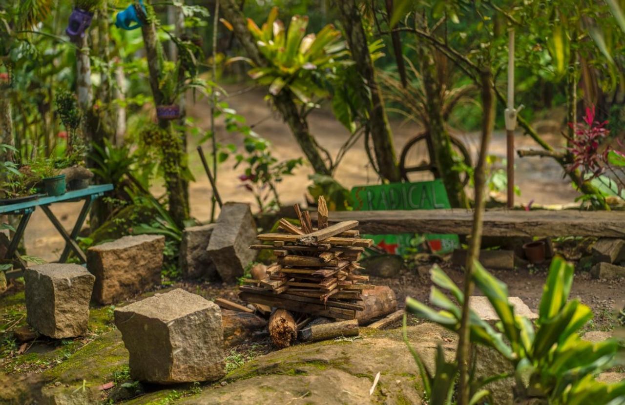 Eco Hostel Organic Life Trindade  Exterior photo